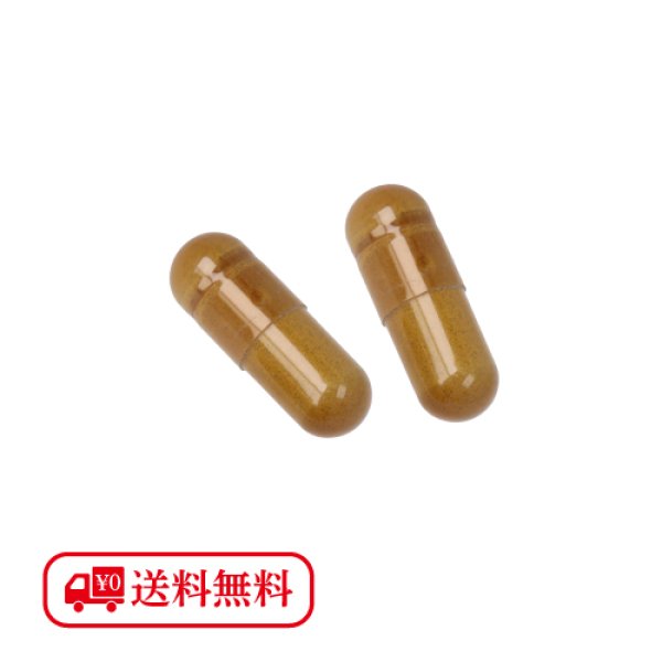 画像2: 発酵マメ子　フェムケアプレミアム (2)