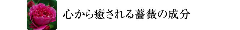 梓Gm1