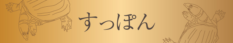 練熟極すっぽんプラス3